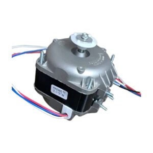 Micro Motor 1/20 220v
